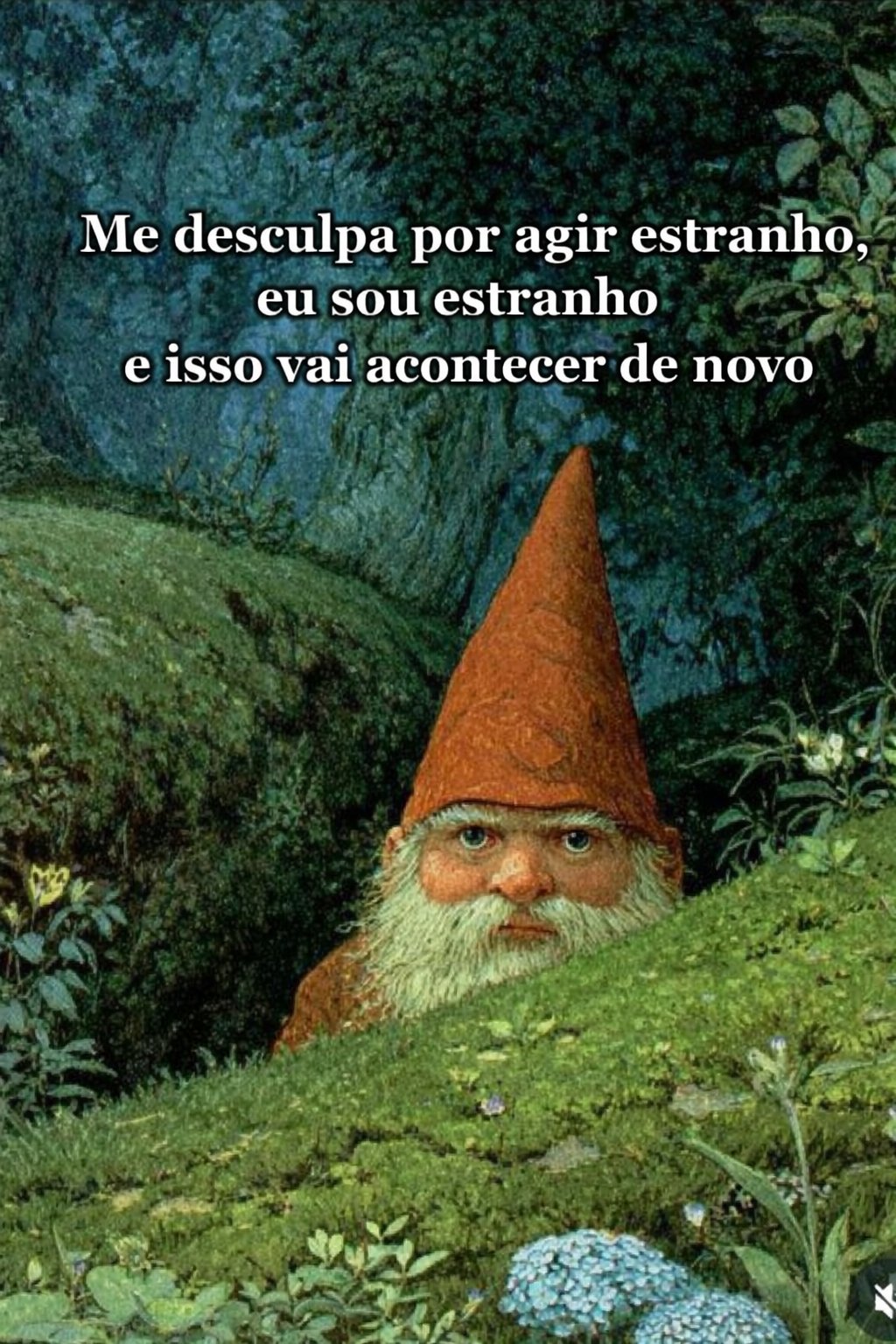 igorsilva